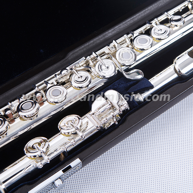 Flauta de placa de labios de plata maciza de 16 agujeros abiertos (ALFL465)