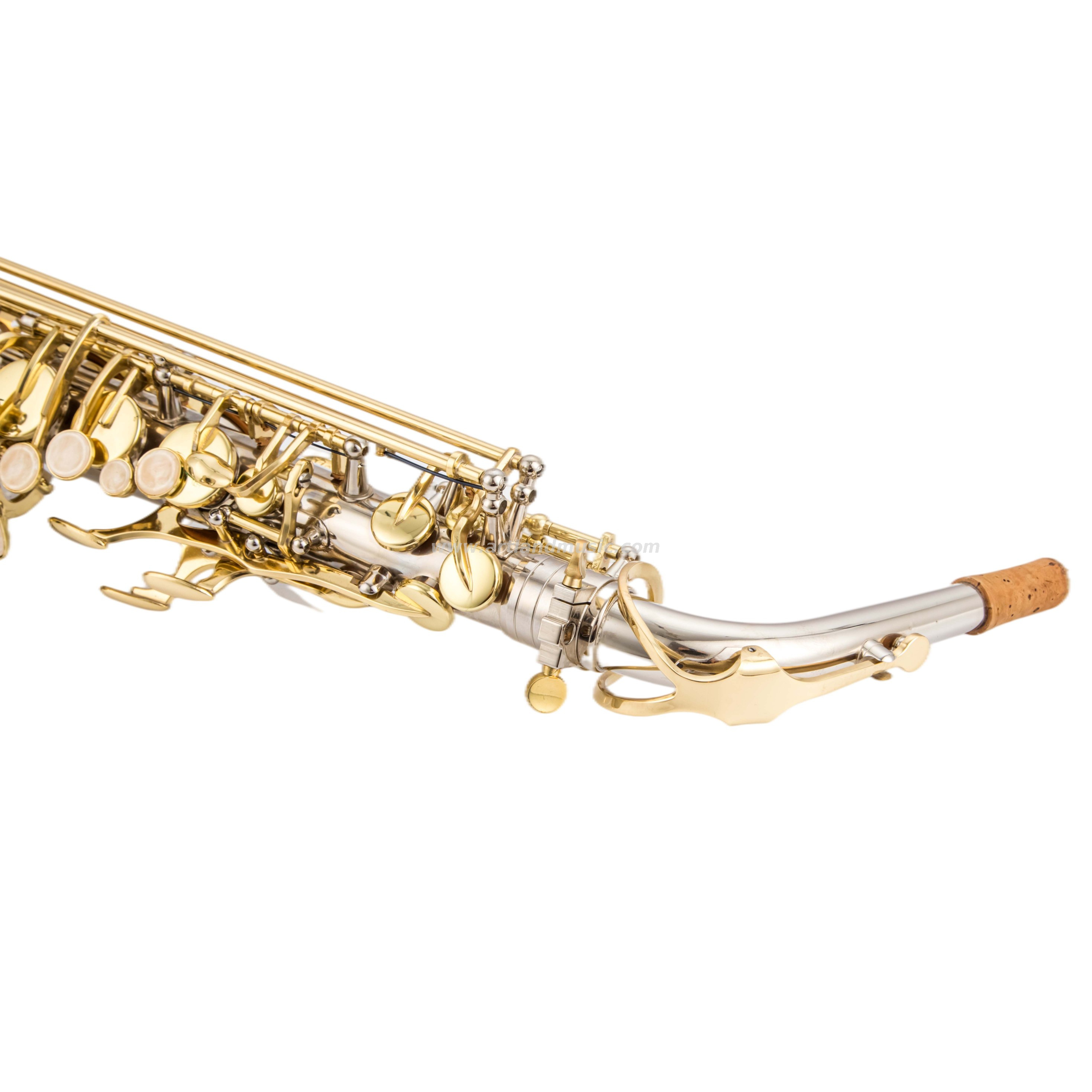 Níquel terminado alto saxofón con llave de oro (AAS5505NL)