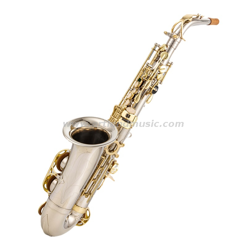 Eb Alto Saxophone Nickel Hand Body con llave de laca dorada (AAS5505NL)