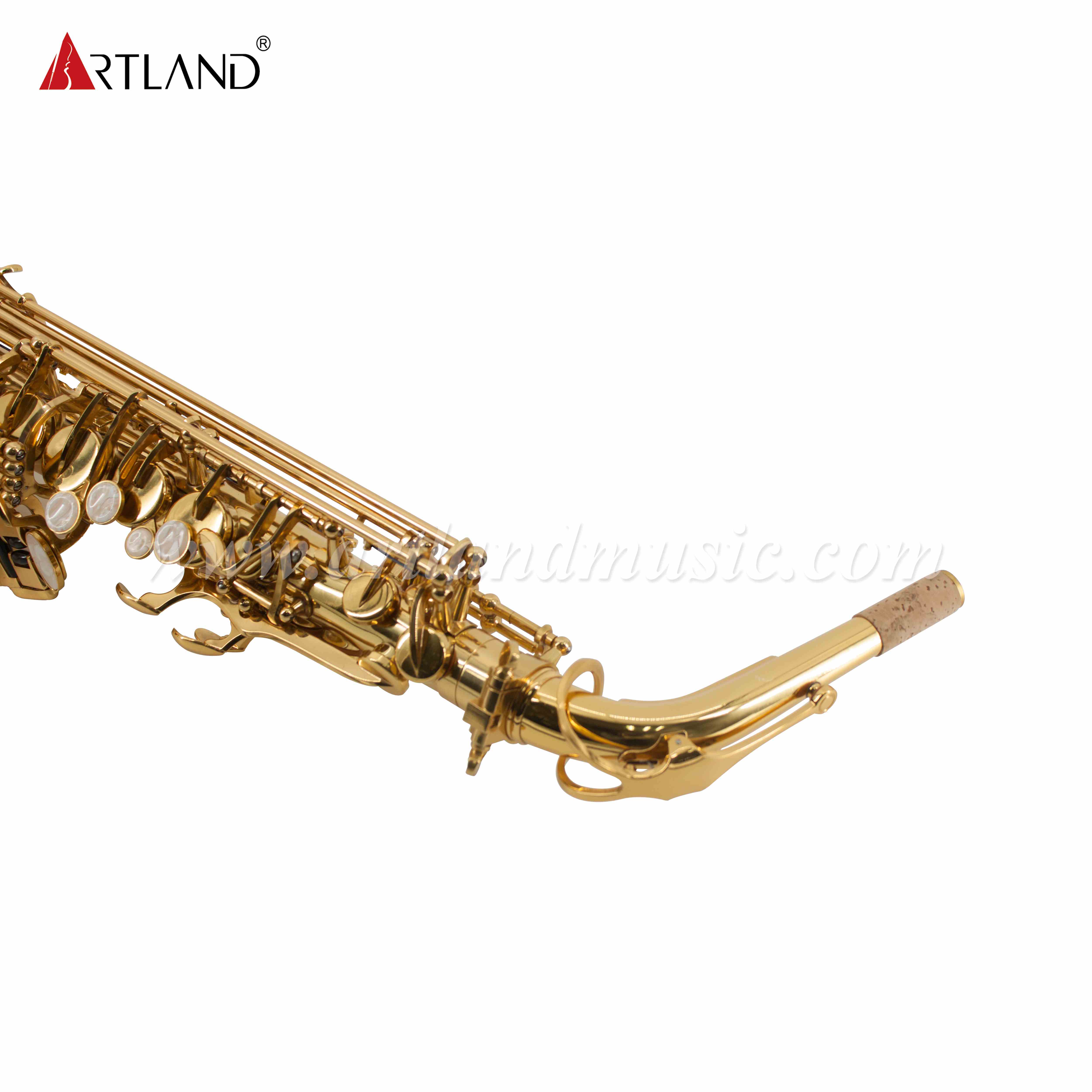 Saxofón Alto Lacado en Oro Eb (AAS6503)