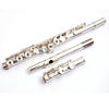 Flauta estándar chapada en plata de 16 agujeros abiertos (AFL5507)