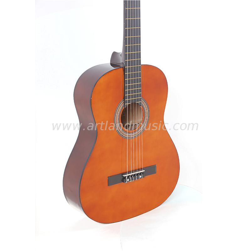 Linden Top Back & Side Classic Guitar (CG851)