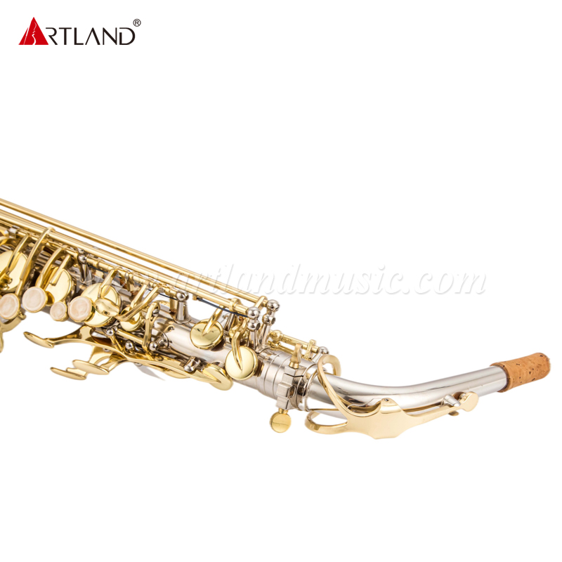 Saxofón alto con acabado de níquel y llave dorada (AAS5505NL)