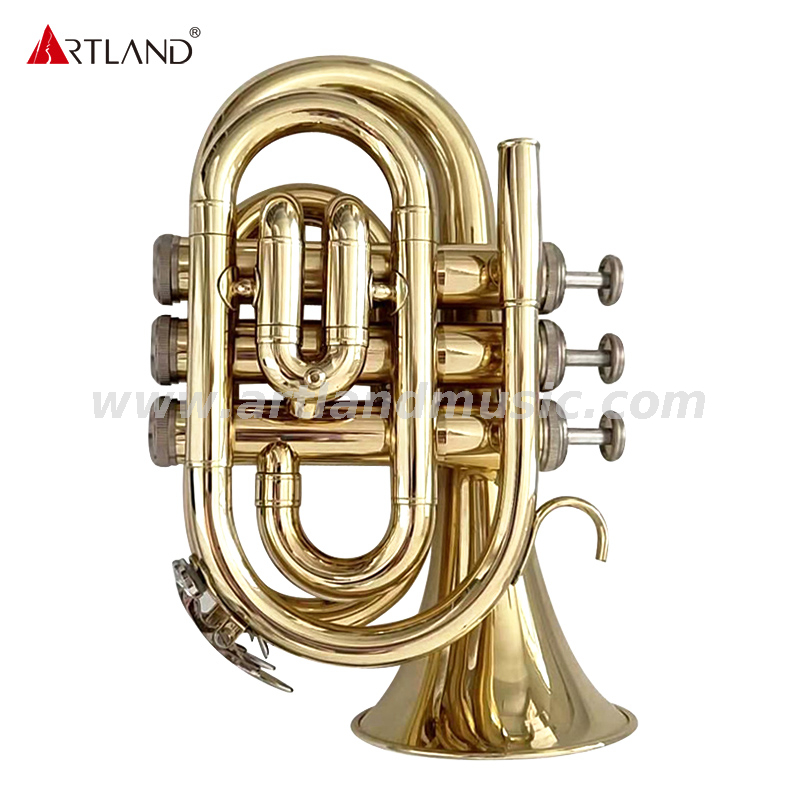 Modelo de entrada de trompetas de bolsillo de laca dorada de BB （AHD3505G）