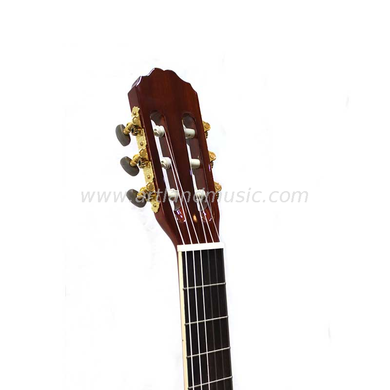 Guitarra clásica con parte trasera y lateral de palisandro con tapa maciza de abeto (CG968)